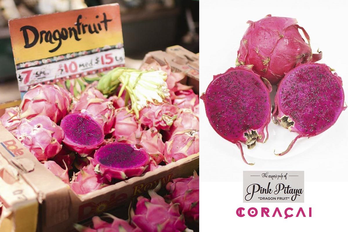 pitahaya rosa dragon fruit